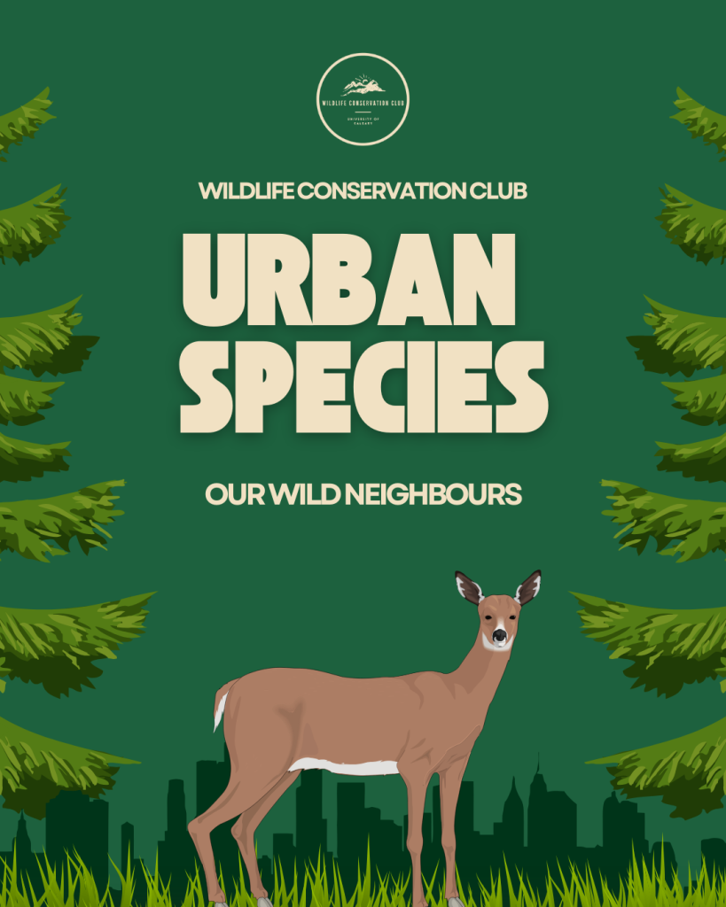 urban species banner